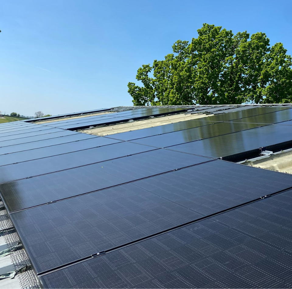 The Different Types and how They Work